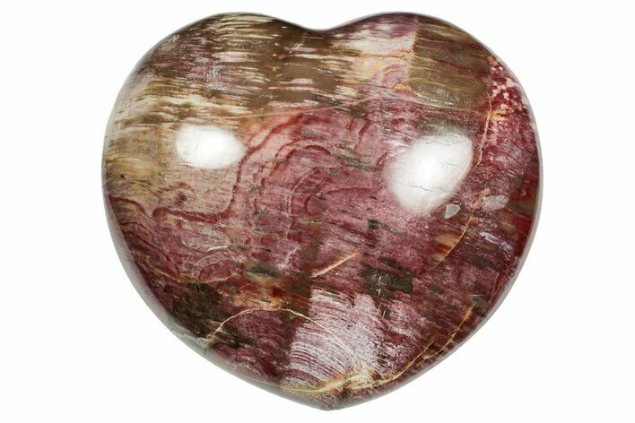 Polished Triassic Petrified Wood Heart - Madagascar #355573